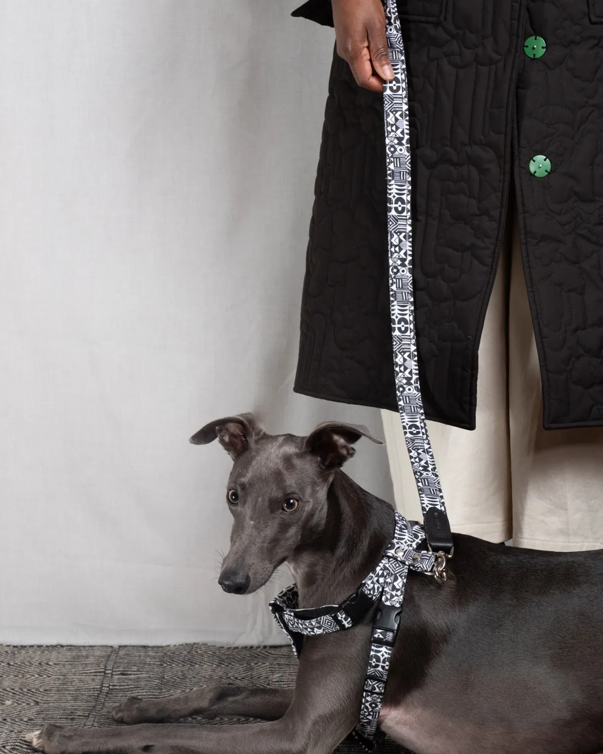 Bow Wow Haus Hands Free (Coupler) Dog Lead