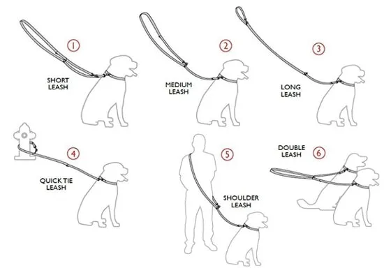 Hands Free Egypt Dog Leash