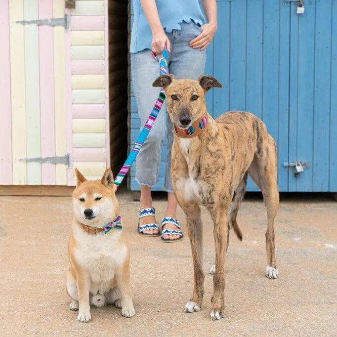 Inca Blue Hands Free (Coupler) Dog Lead