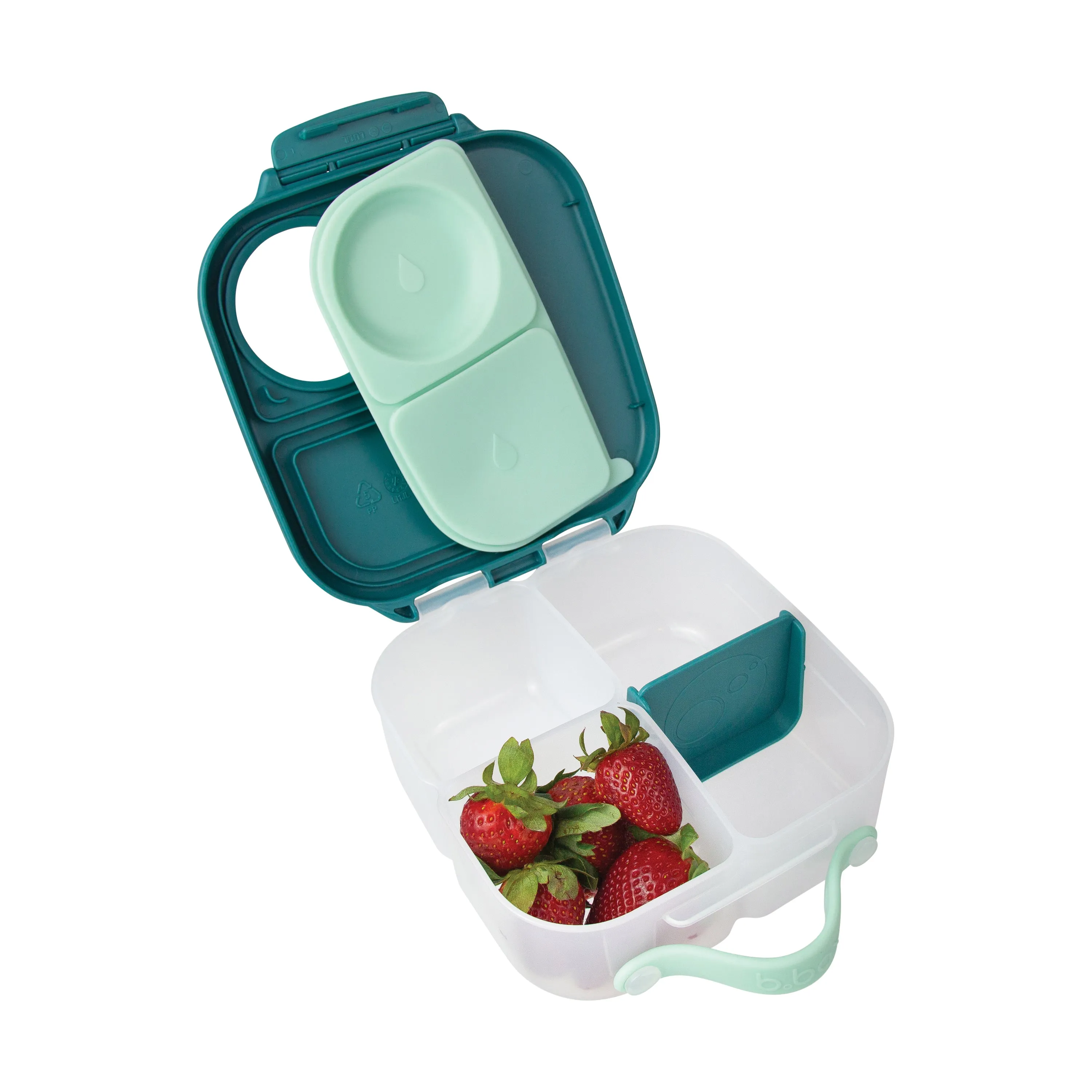 mini lunchbox - emerald forest