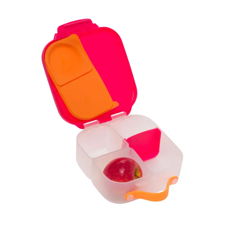 Mini Lunchbox
