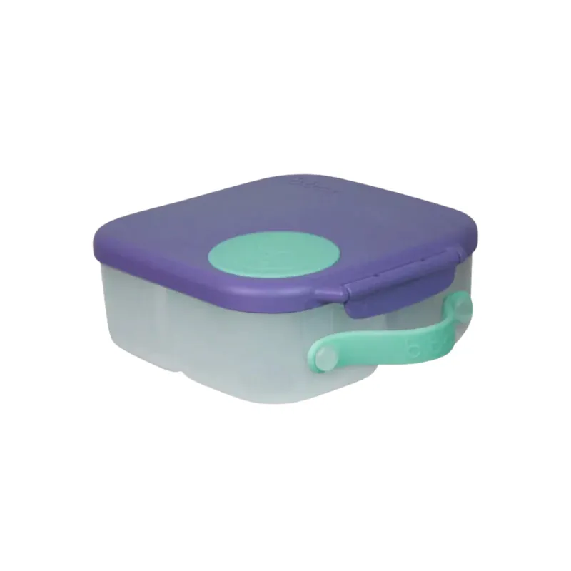 Mini Lunchbox