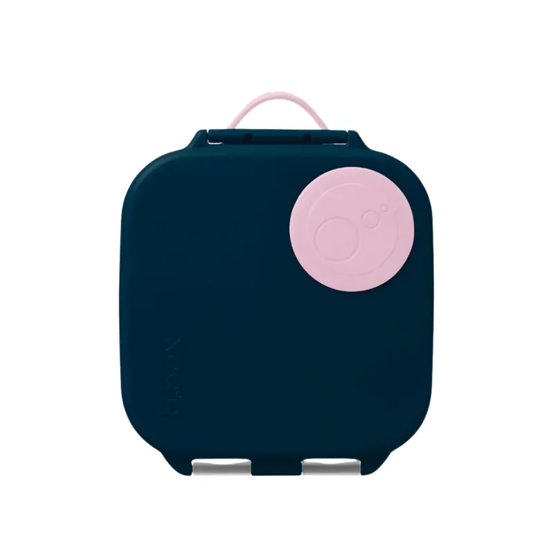 Mini Lunchbox