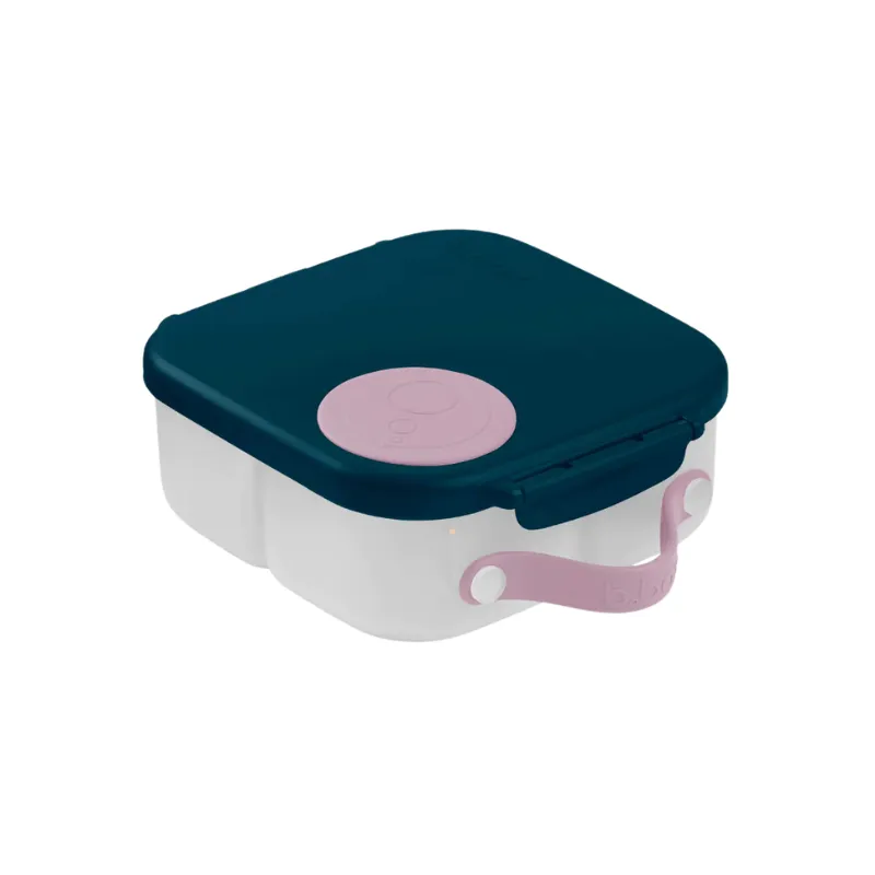 Mini Lunchbox