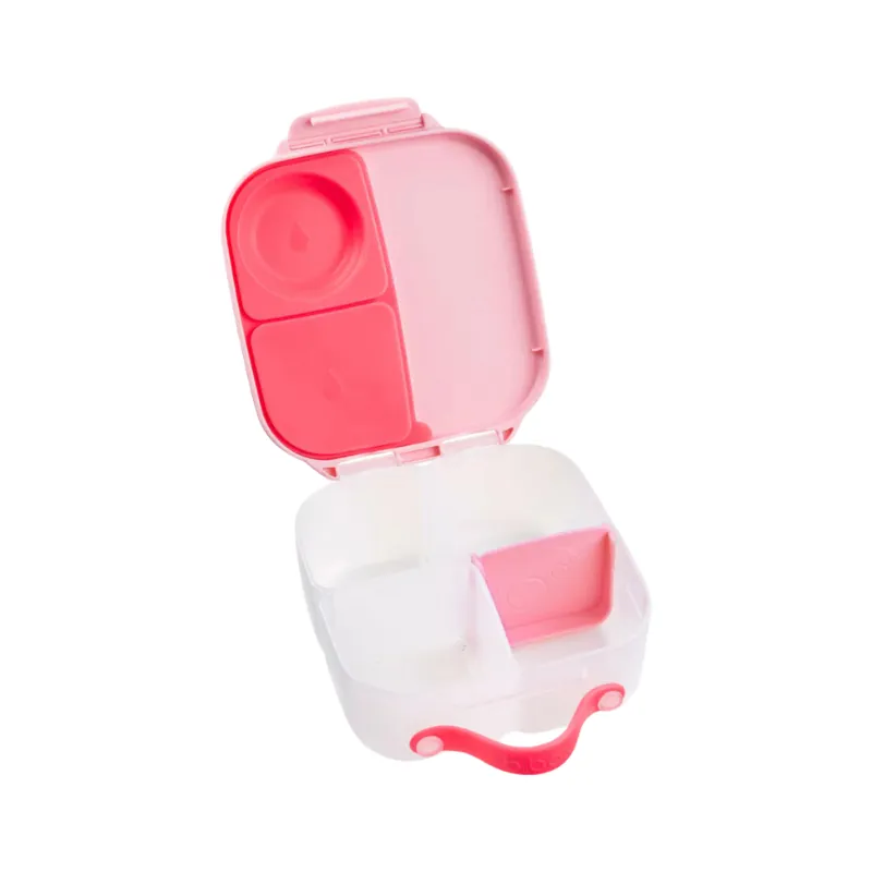 Mini Lunchbox