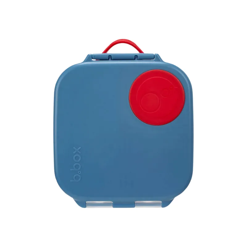 Mini Lunchbox