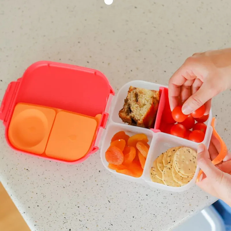 Mini Lunchbox