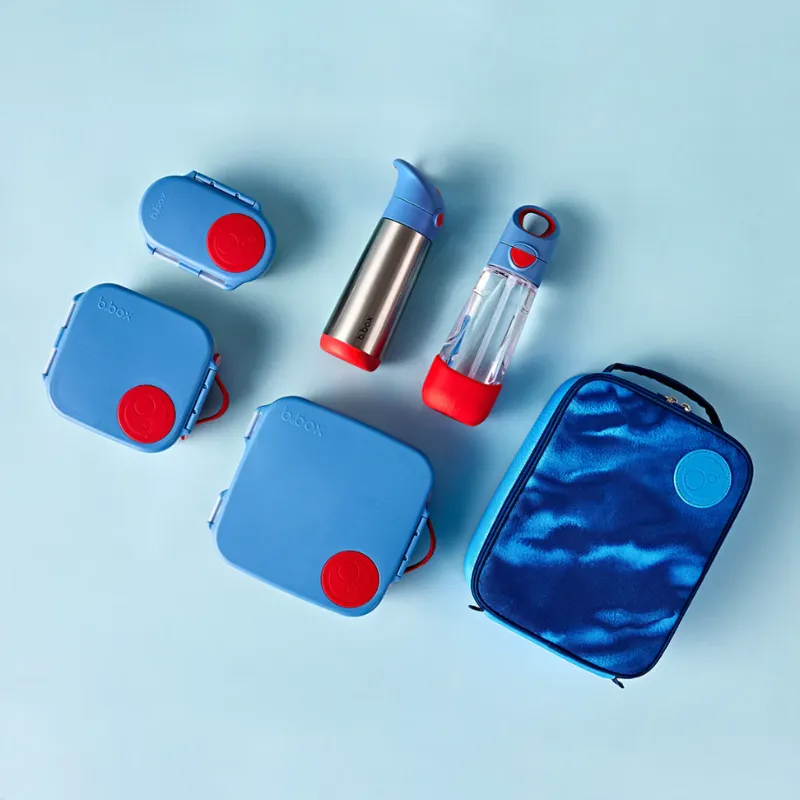 Mini Lunchbox