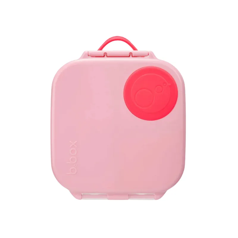 Mini Lunchbox
