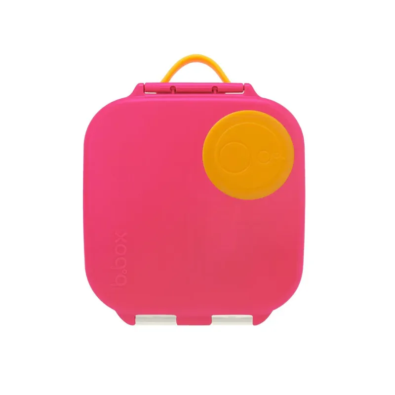 Mini Lunchbox