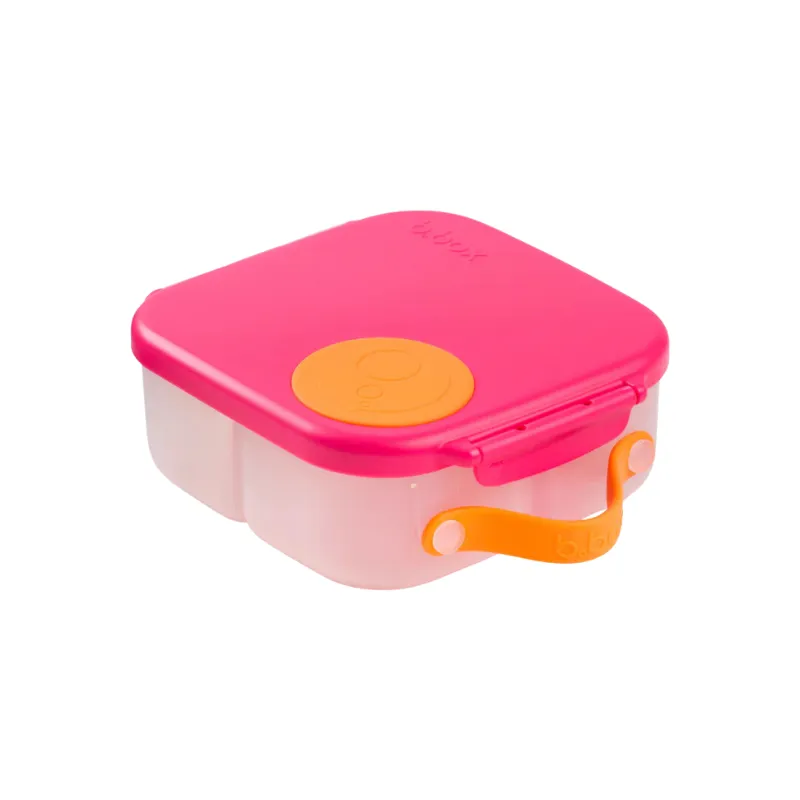 Mini Lunchbox
