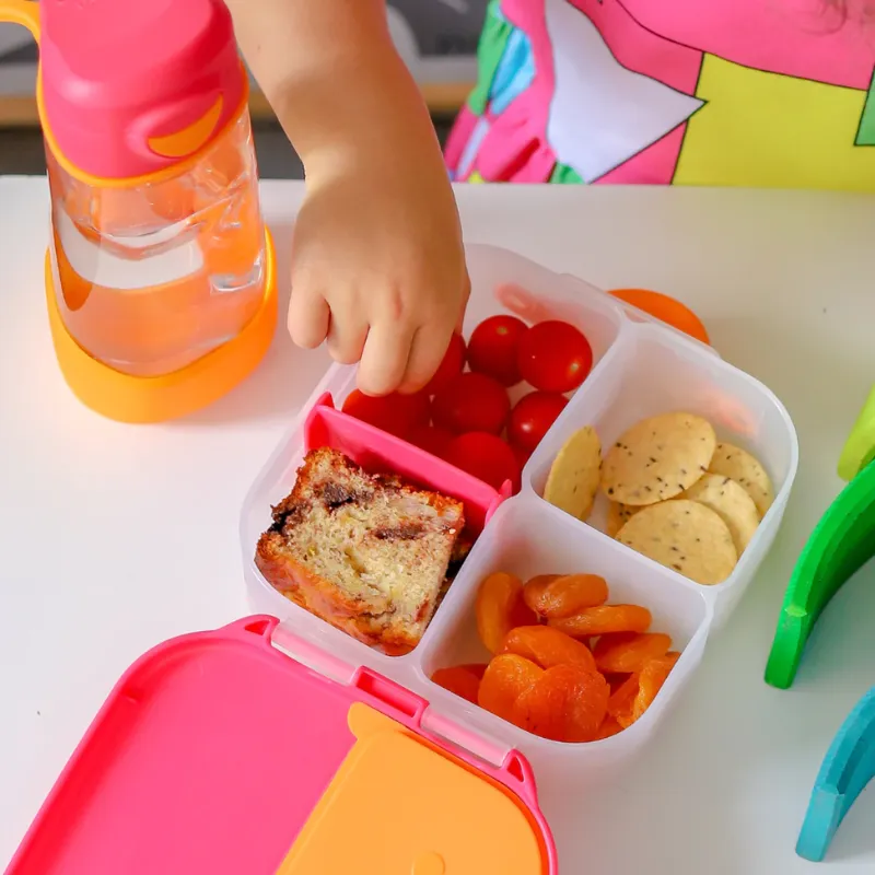 Mini Lunchbox