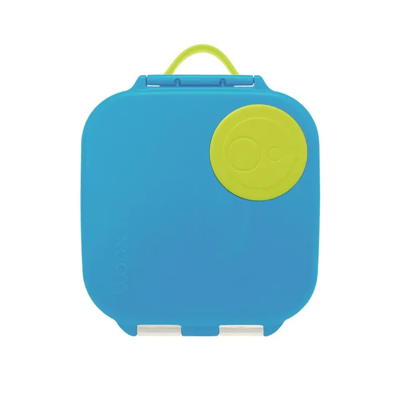 Mini Lunchbox