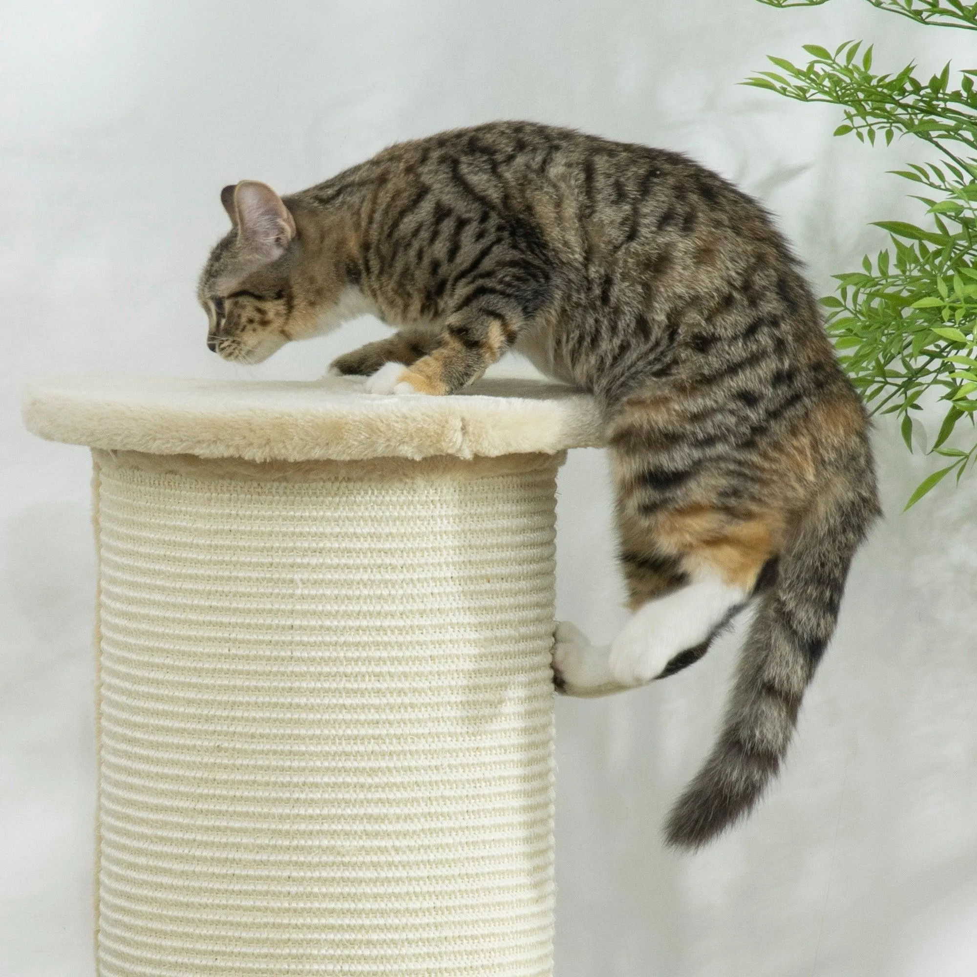 Tall Cat Scratching Post with Sisal Rope, Soft Plush Cover, 85cm - Beige